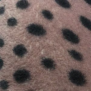 Meet your Posher, Nadia